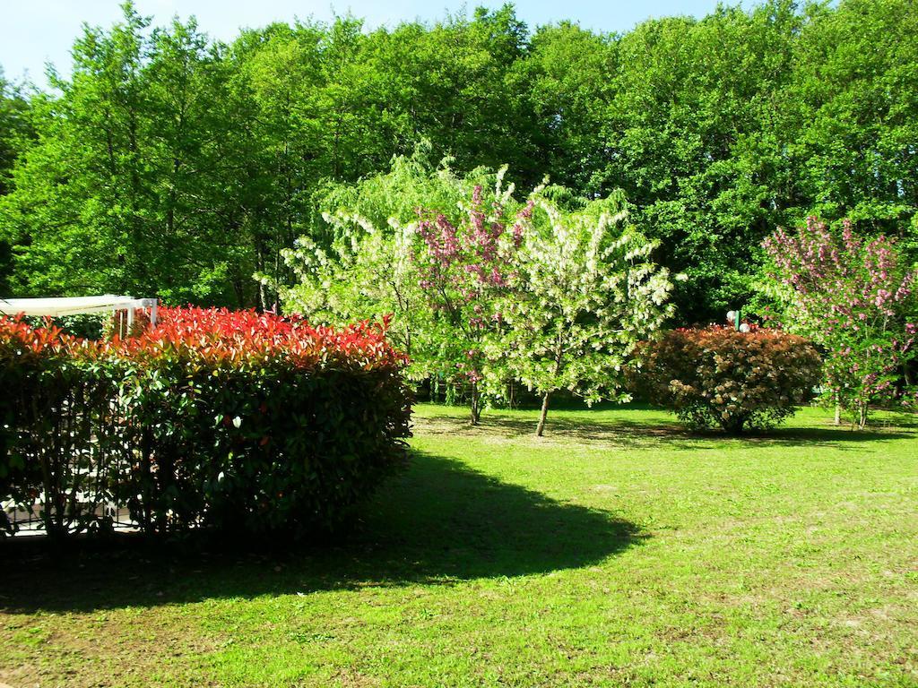 Holiday home Les Aulnes *
